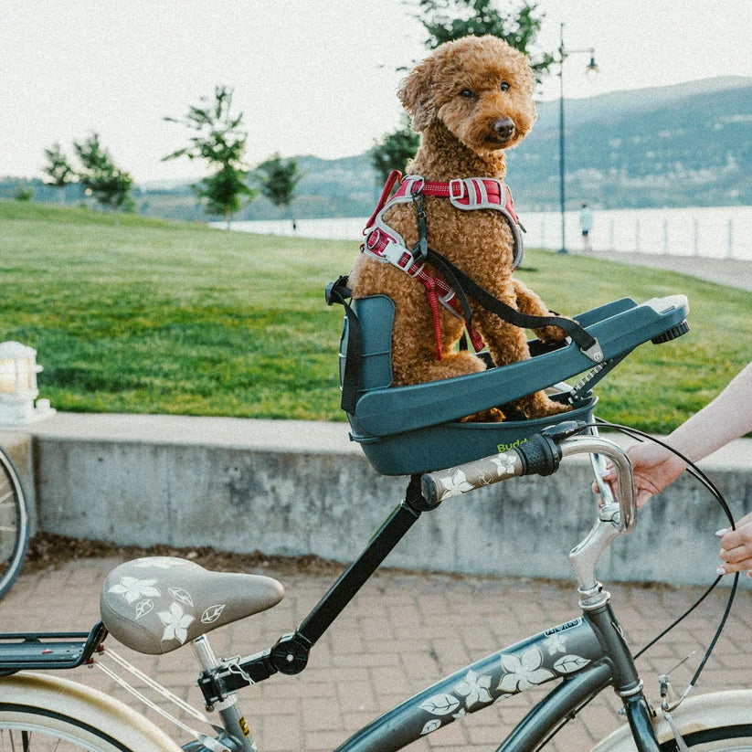 Buddy Rider series 2 dog bike seat