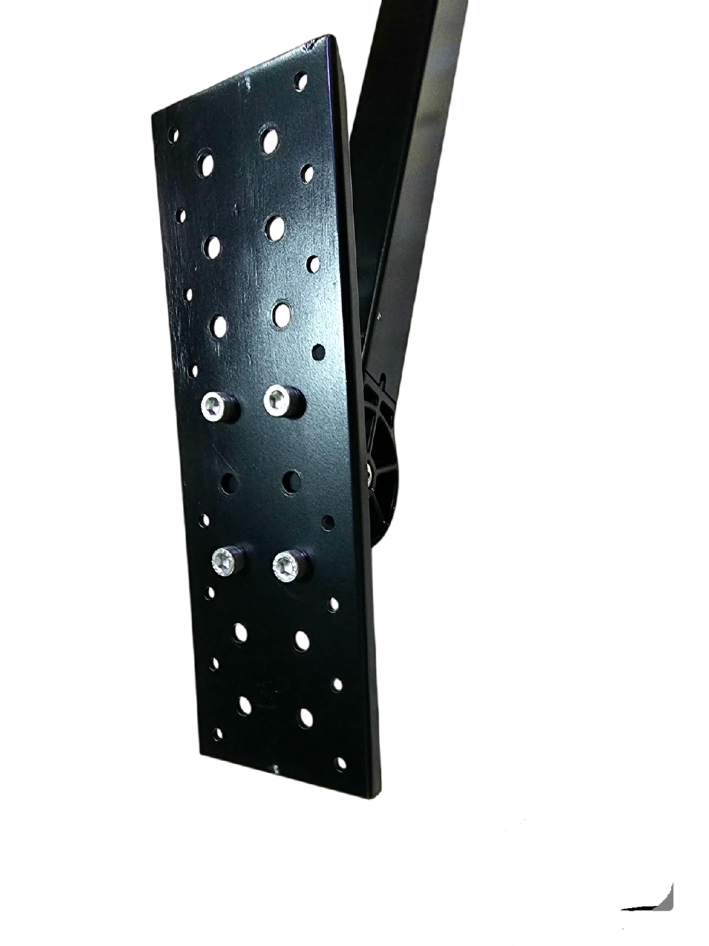 Buddyrider Flexarm plate
