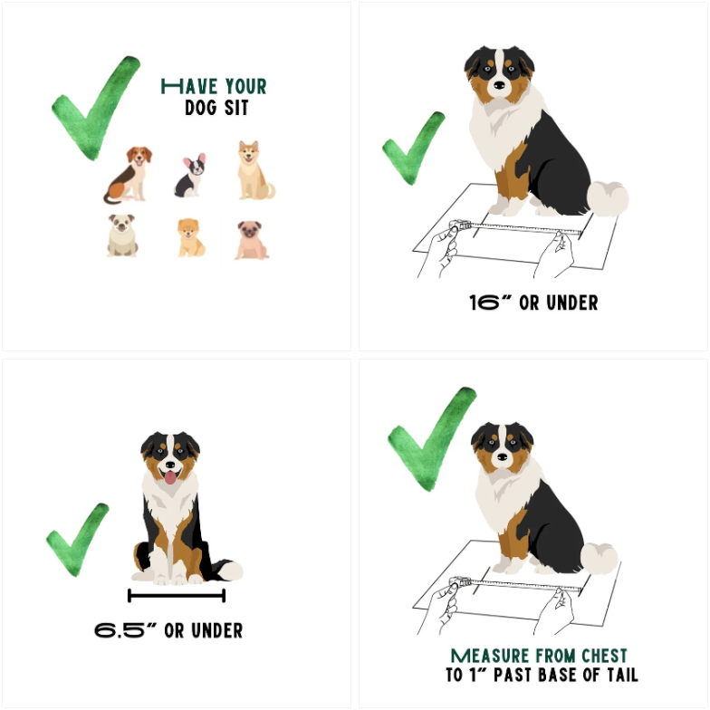 BuddyRider® Dog Bike Seat – Series 2 (Rigid Arm)