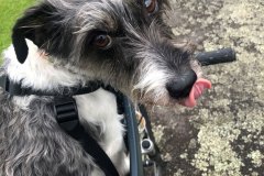 Another-happy-customer