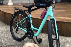 Banjo-waiting-for-another-ride