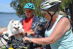 Frodo and his new friend riding in Buddy Riders