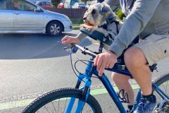 Chisel and his new ride