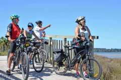 Group bike ride in the Buddy Rider dog bike seat