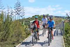 Group bike ride complete with our buddys!