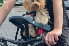 Another Happy Buddy Rider