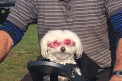 Looking stylish in her Buddyrider seat!