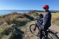 Enjoying the view from the Buddyrider Dog Bike Seat