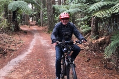 Forest ride with our new Buddyrider from Pedal Pals